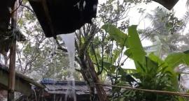 Musim Hujan di D.I.Yogyakarta Tahun ini Diprediksi Datang Lebih Awal, Petani Segera Bersiap